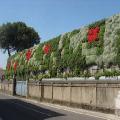 Giardino verticale mediterraneo