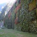 Giardino verticale in stile liberty, Merano (Bz) 