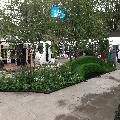 RHS Chelsea flower show